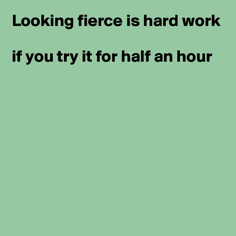 Looking fierce is hard work

if you try it for half an hour







