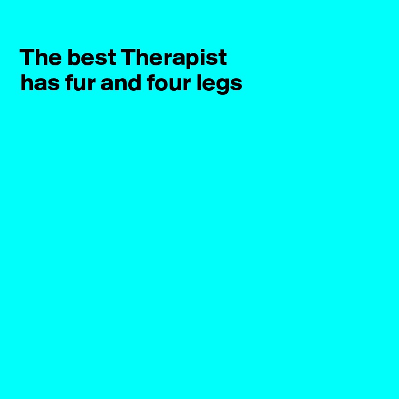 
The best Therapist
has fur and four legs 










