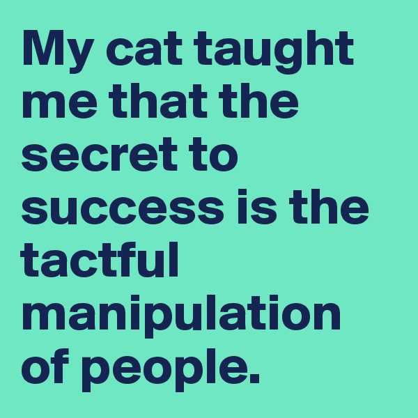 My cat taught me that the secret to success is the tactful manipulation of people.