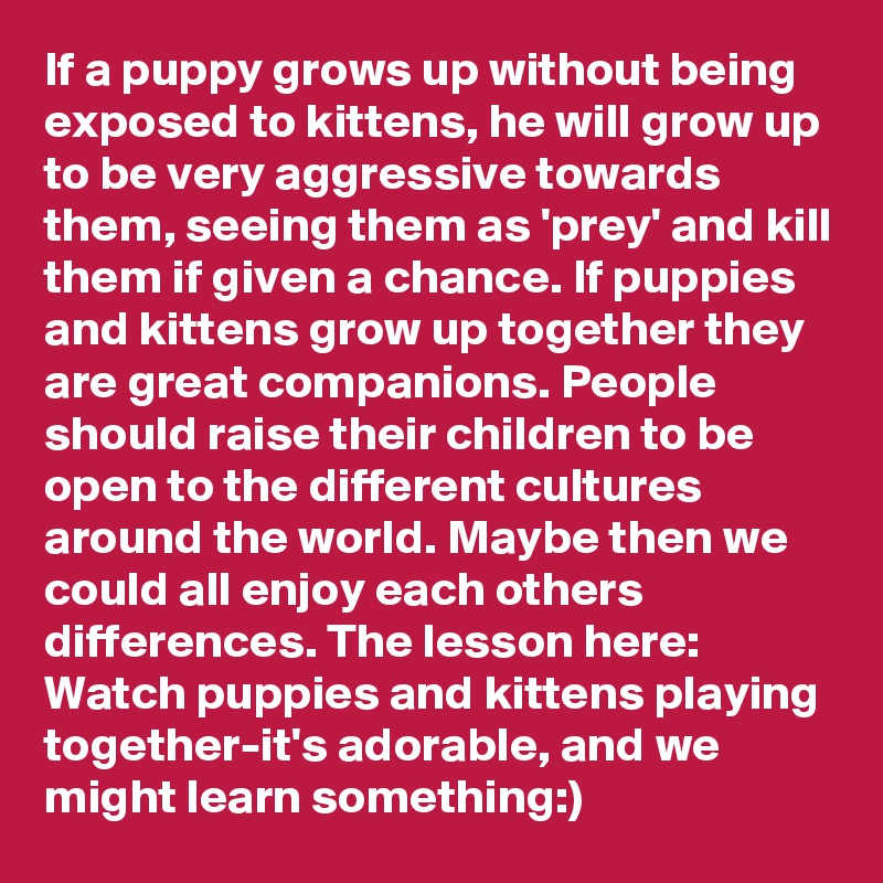 If a puppy grows up without being exposed to kittens, he will grow up to be very aggressive towards them, seeing them as 'prey' and kill them if given a chance. If puppies and kittens grow up together they are great companions. People should raise their children to be open to the different cultures around the world. Maybe then we could all enjoy each others differences. The lesson here: Watch puppies and kittens playing together-it's adorable, and we might learn something:)