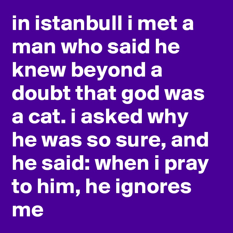 in istanbull i met a man who said he knew beyond a doubt that god was a cat. i asked why he was so sure, and he said: when i pray to him, he ignores me