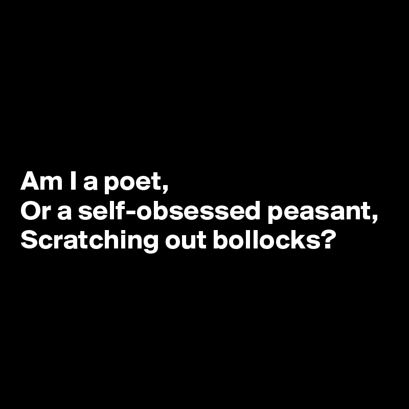 




Am I a poet,
Or a self-obsessed peasant,
Scratching out bollocks? 



