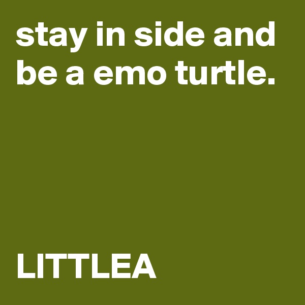 stay in side and be a emo turtle.




LITTLEA