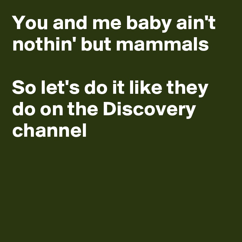 You and me baby ain't nothin' but mammals

So let's do it like they do on the Discovery channel



