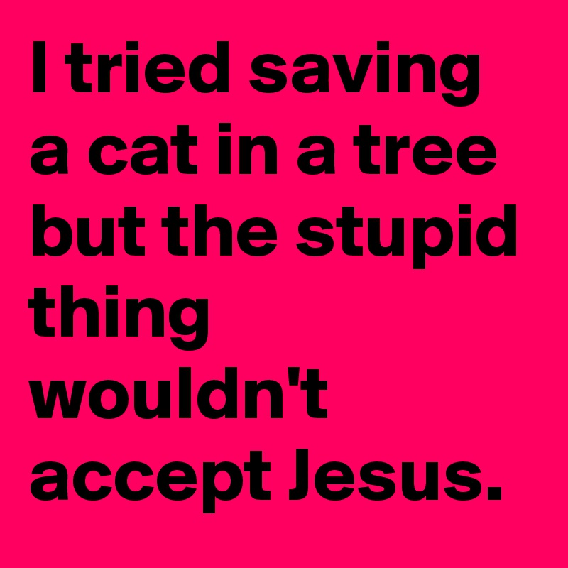 I tried saving a cat in a tree but the stupid thing wouldn't accept Jesus. 