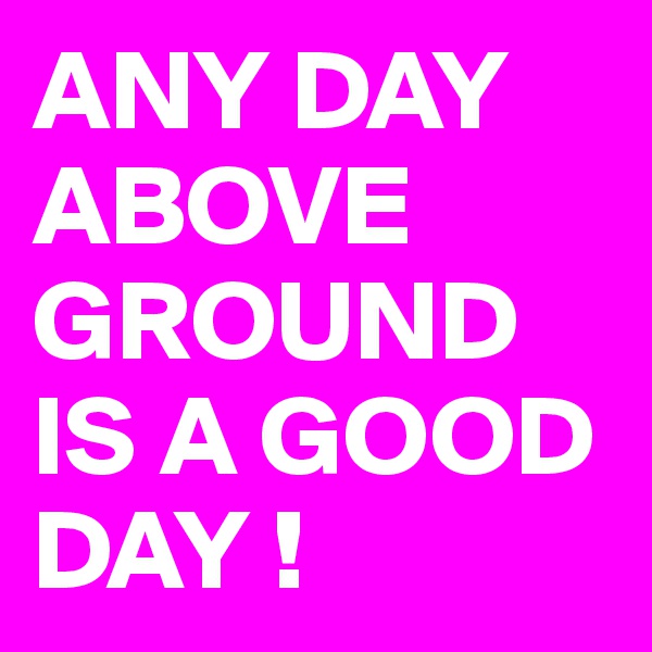 ANY DAY
ABOVE
GROUND
IS A GOOD DAY !