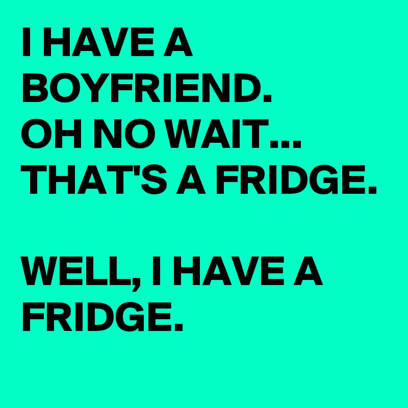 I HAVE A BOYFRIEND.
OH NO WAIT... THAT'S A FRIDGE.

WELL, I HAVE A FRIDGE.