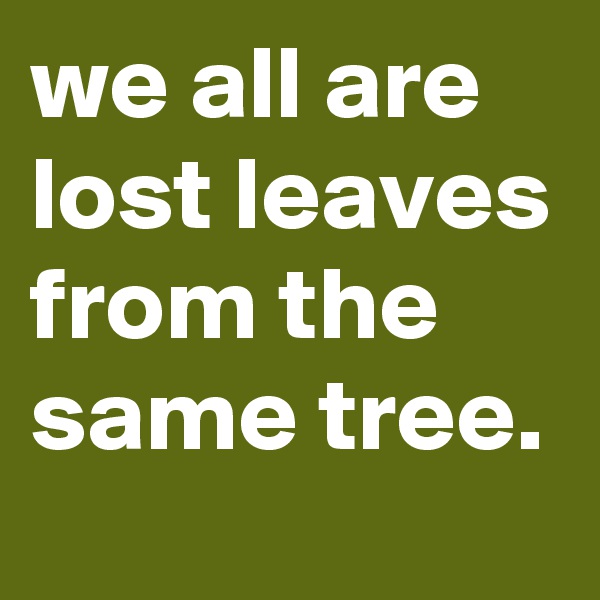we all are lost leaves from the same tree.
