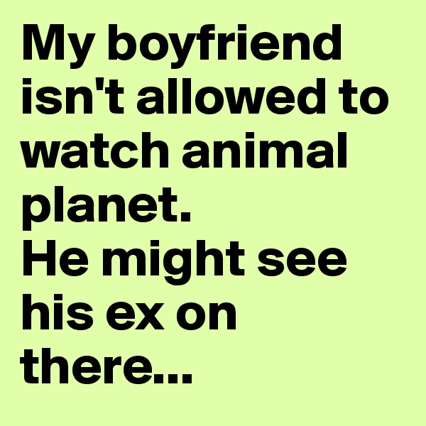 My boyfriend isn't allowed to watch animal planet.
He might see his ex on there...