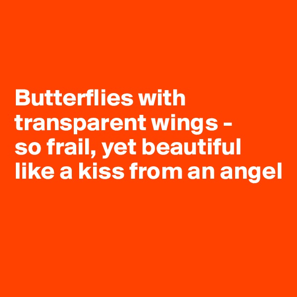 


Butterflies with transparent wings - 
so frail, yet beautiful like a kiss from an angel


