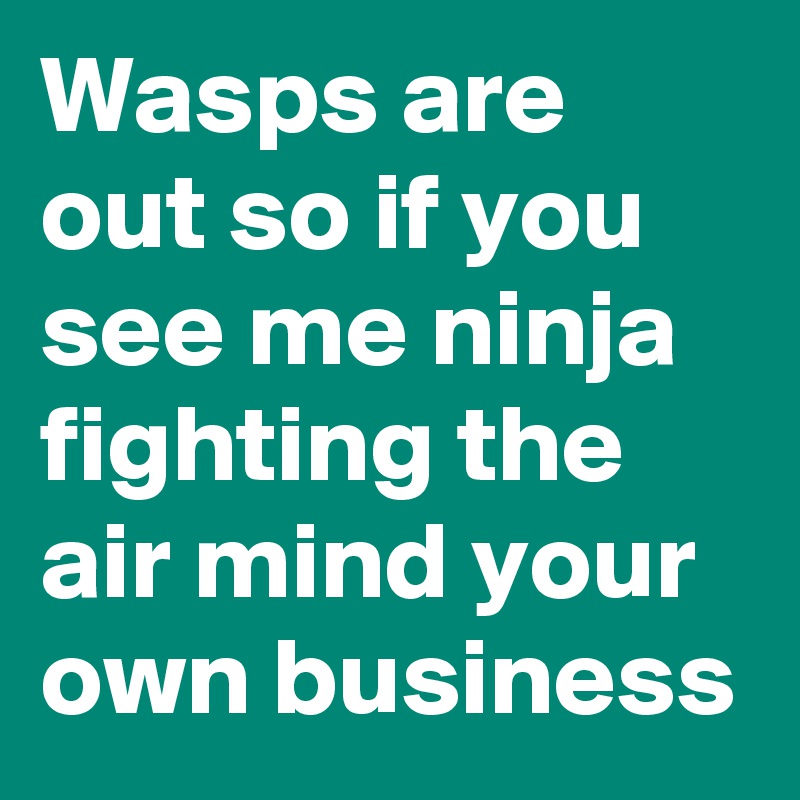 Wasps are out so if you see me ninja fighting the air mind your own business