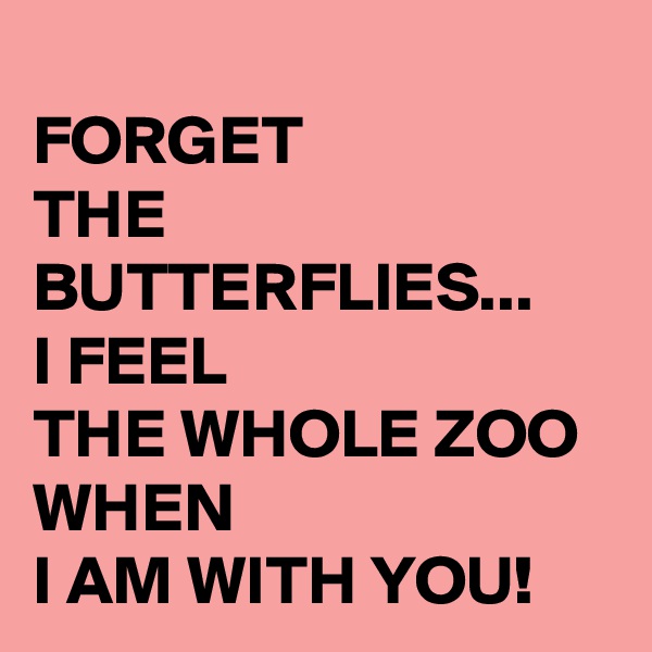 
FORGET 
THE BUTTERFLIES...
I FEEL
THE WHOLE ZOO
WHEN
I AM WITH YOU!