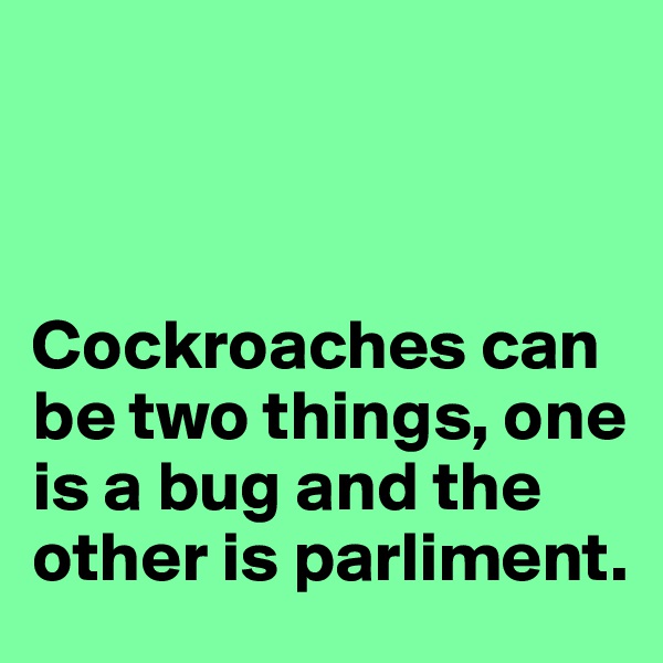 



Cockroaches can be two things, one is a bug and the other is parliment.