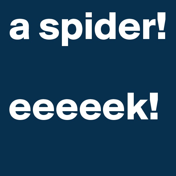 a spider!

eeeeek!