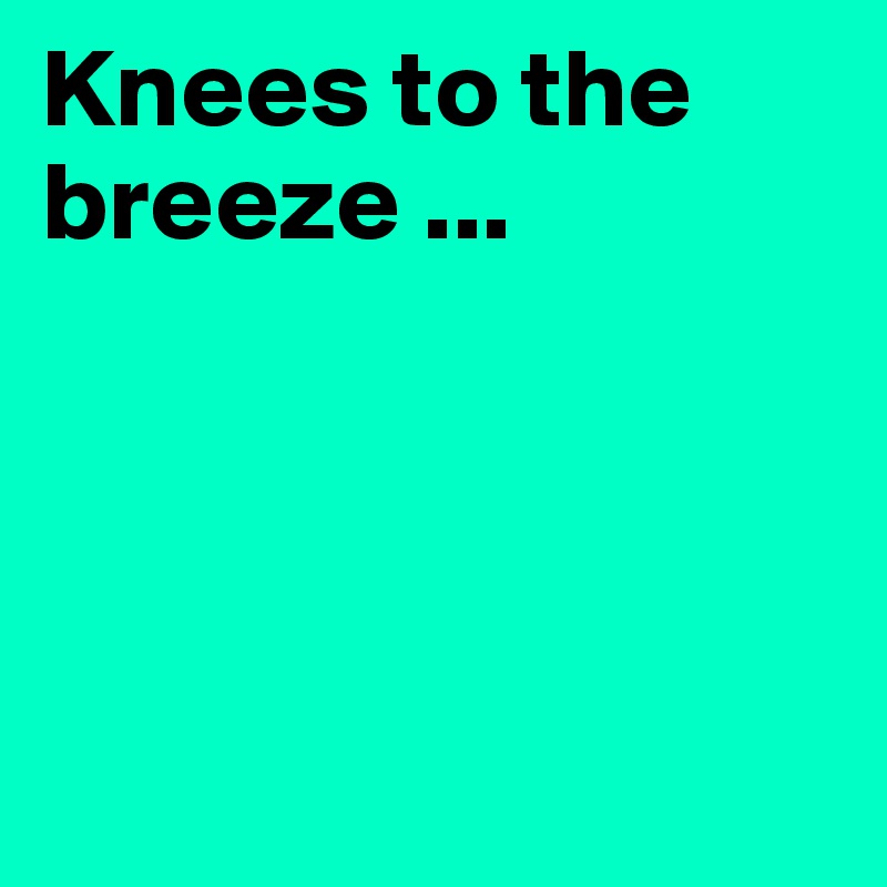 Knees to the breeze ...




