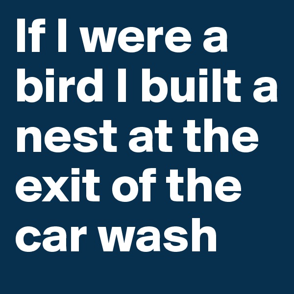 If I were a bird I built a nest at the exit of the car wash