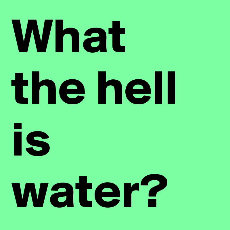 What the hell is water? 