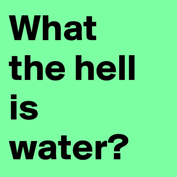 What the hell is water? 