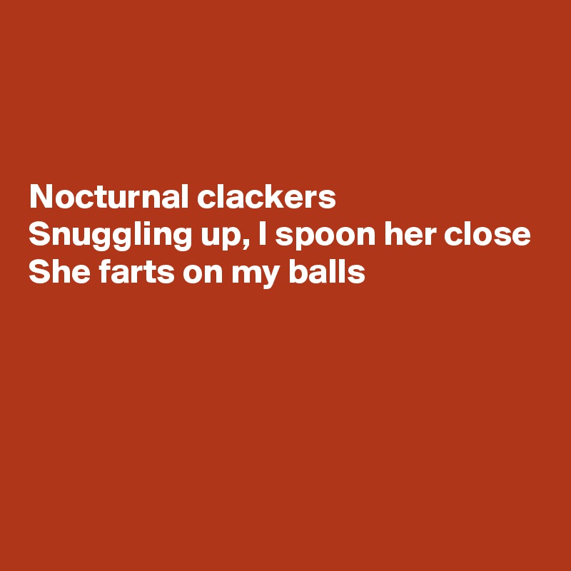 



Nocturnal clackers
Snuggling up, I spoon her close
She farts on my balls





