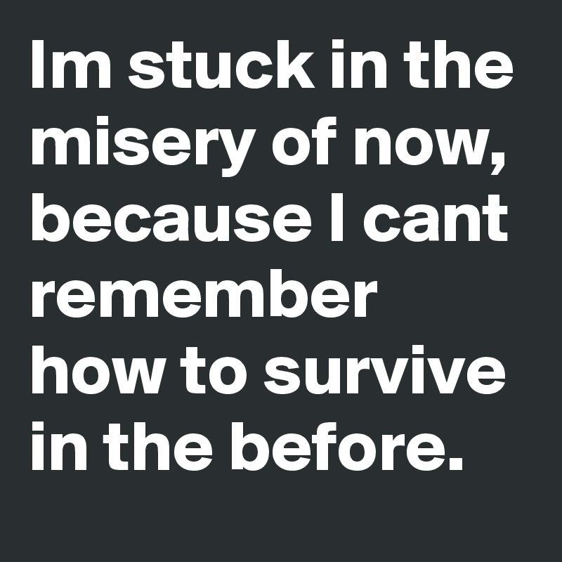 Im stuck in the misery of now, because I cant remember how to survive in the before.