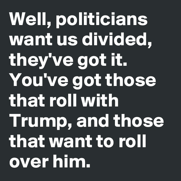 Well, politicians want us divided, they've got it.
You've got those that roll with Trump, and those that want to roll over him.