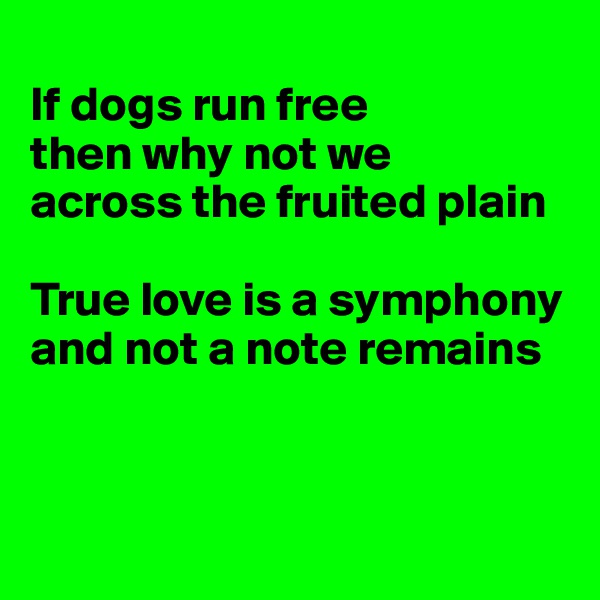 
If dogs run free
then why not we
across the fruited plain

True love is a symphony
and not a note remains



