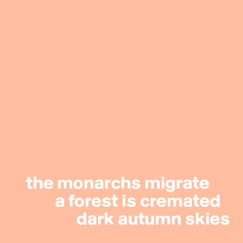 
 







    the monarchs migrate
            a forest is cremated 
                  dark autumn skies
