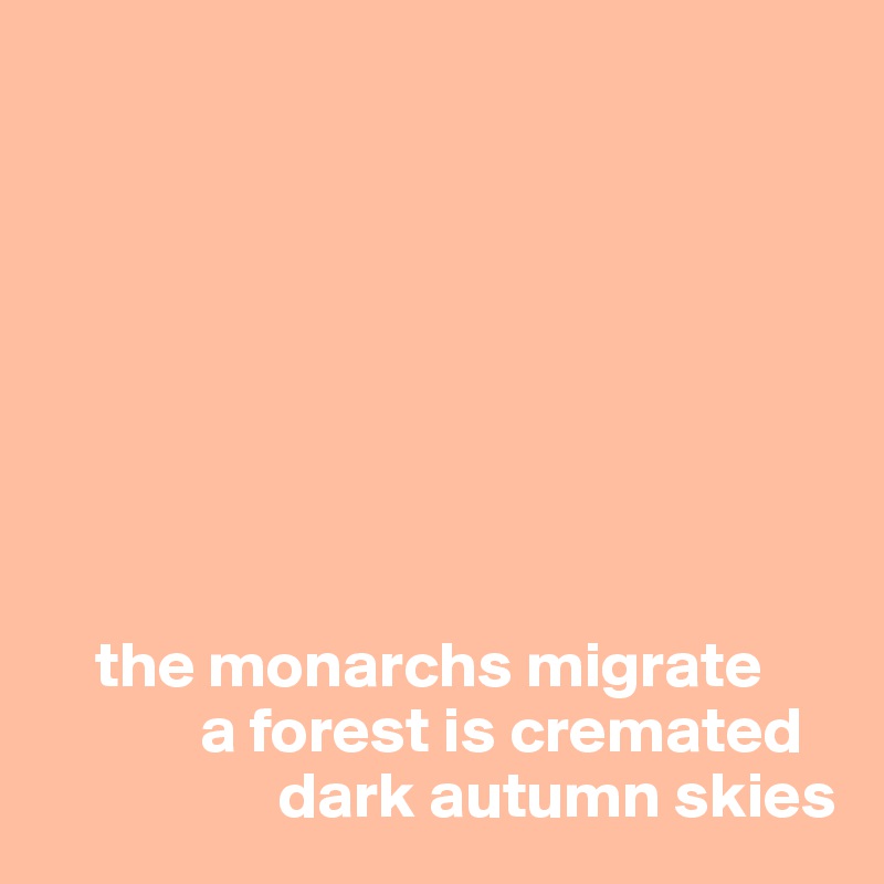 
 







    the monarchs migrate
            a forest is cremated 
                  dark autumn skies