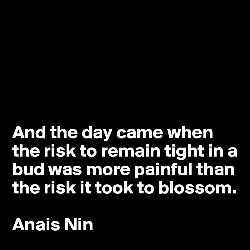 





And the day came when the risk to remain tight in a bud was more painful than the risk it took to blossom. 

Anais Nin