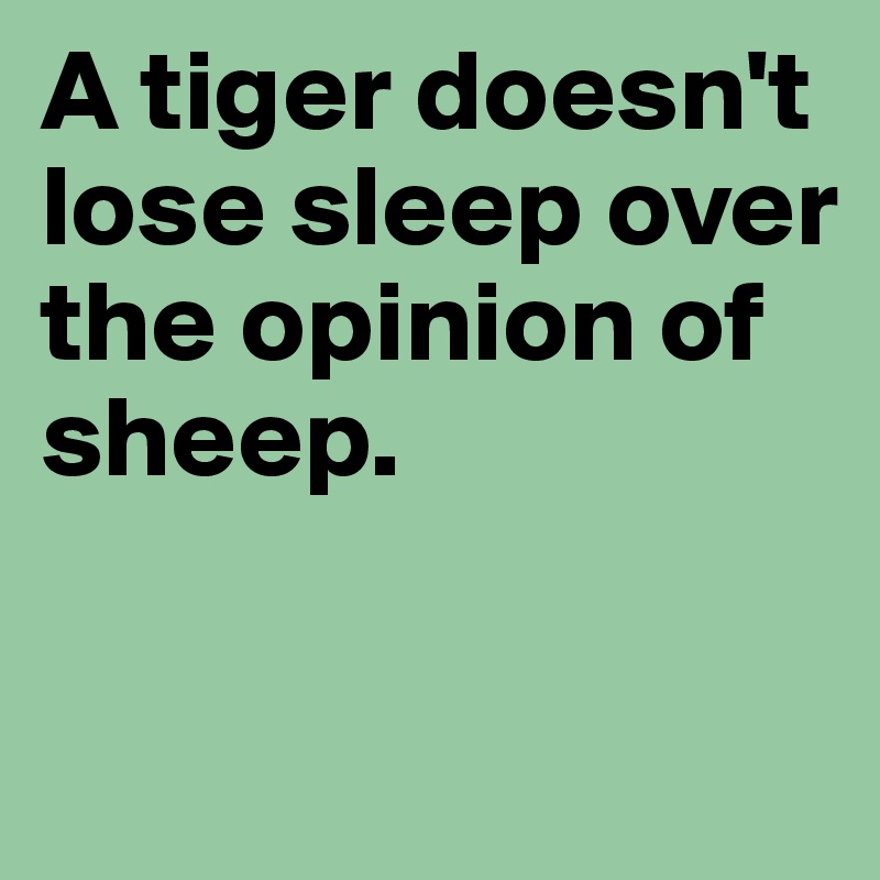A tiger doesn't lose sleep over the opinion of sheep. 


