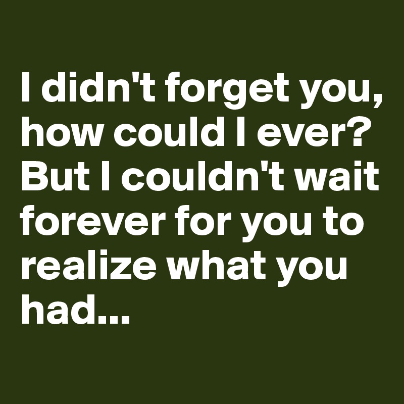 
I didn't forget you, how could I ever? But I couldn't wait forever for you to realize what you had...
