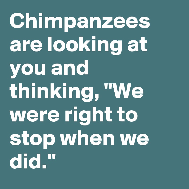 Chimpanzees are looking at you and thinking, "We were right to stop when we did."