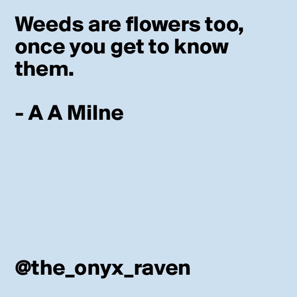 Weeds are flowers too, once you get to know them. 

- A A Milne 
         





@the_onyx_raven
