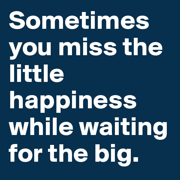 Sometimes you miss the little happiness while waiting for the big.
