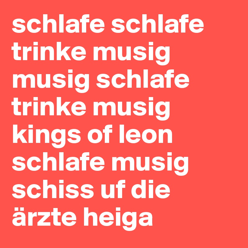schlafe schlafe trinke musig musig schlafe trinke musig kings of leon schlafe musig schiss uf die ärzte heiga