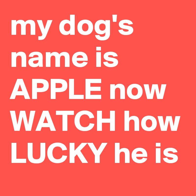 my dog's name is APPLE now WATCH how LUCKY he is