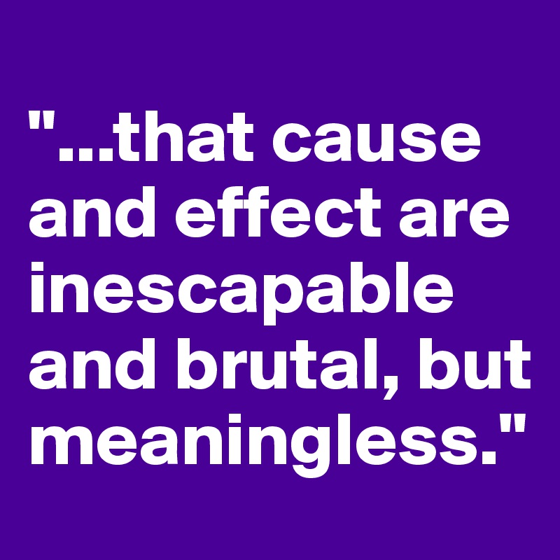 
"...that cause and effect are inescapable and brutal, but meaningless."
