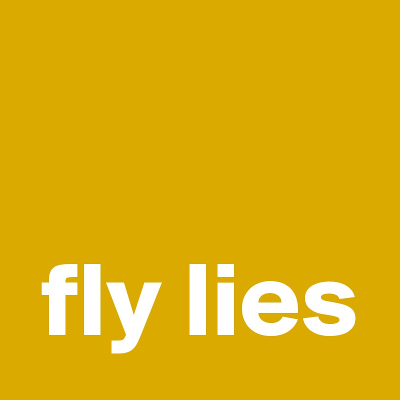 

 fly lies