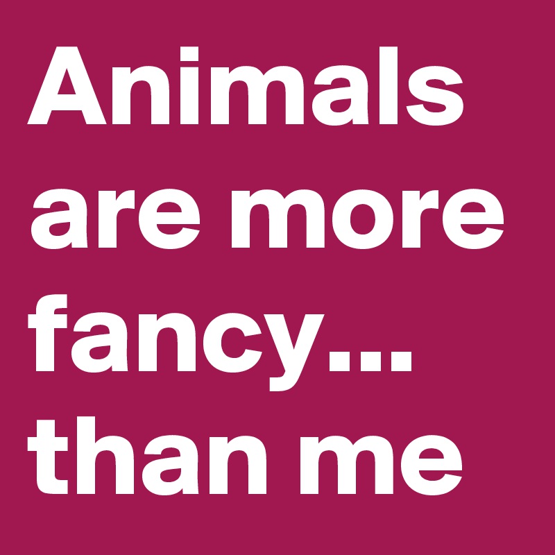 Animals are more fancy... than me