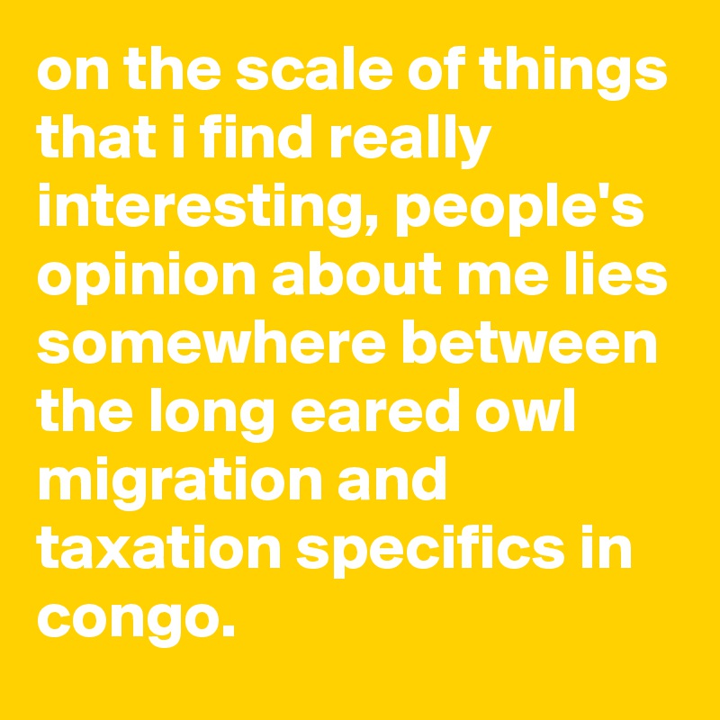 on the scale of things that i find really interesting, people's opinion about me lies somewhere between the long eared owl migration and taxation specifics in congo.