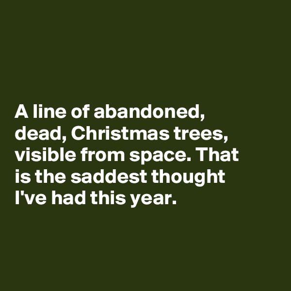 



A line of abandoned, 
dead, Christmas trees, visible from space. That 
is the saddest thought 
I've had this year. 


