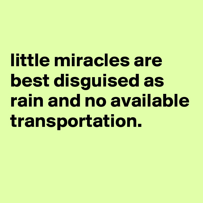 

little miracles are best disguised as rain and no available transportation.

