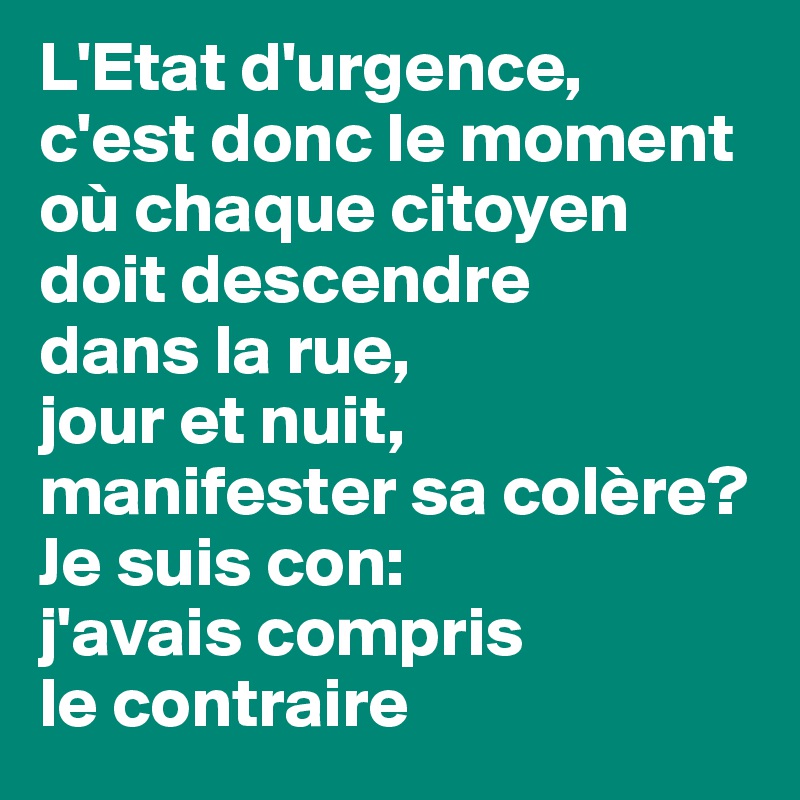 L'Etat d'urgence, 
c'est donc le moment où chaque citoyen doit descendre
dans la rue, 
jour et nuit, manifester sa colère? Je suis con: 
j'avais compris 
le contraire