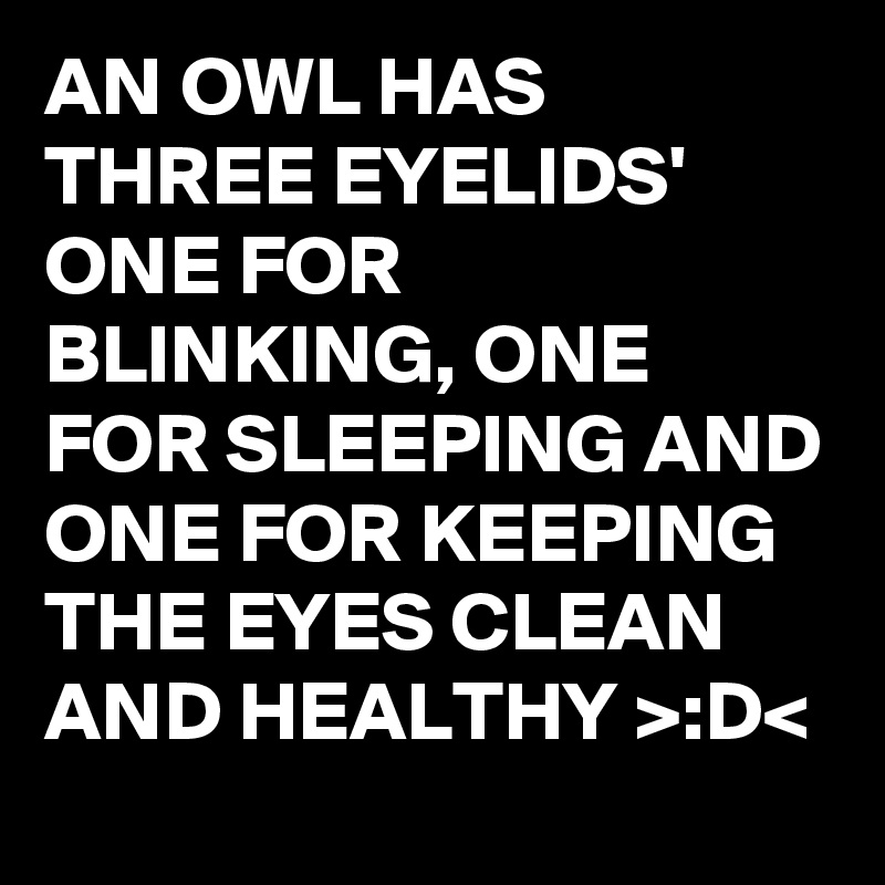 AN OWL HAS THREE EYELIDS' ONE FOR BLINKING, ONE FOR SLEEPING AND ONE FOR KEEPING THE EYES CLEAN AND HEALTHY >:D<