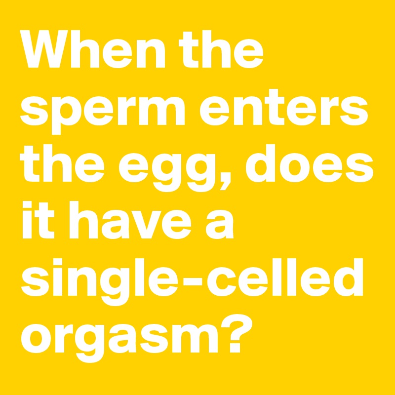 When the sperm enters the egg, does it have a single-celled orgasm?