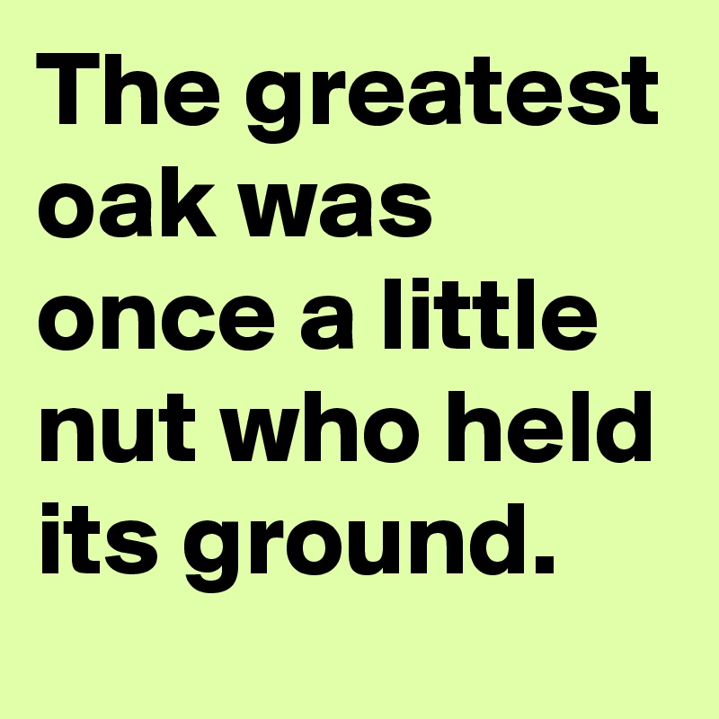 The greatest oak was once a little nut who held its ground.
