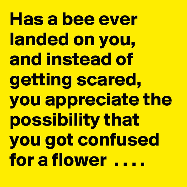 Has a bee ever landed on you,  and instead of getting scared,  you appreciate the possibility that you got confused for a flower  . . . .  