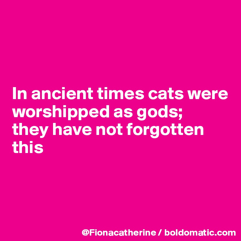 



In ancient times cats were
worshipped as gods;
they have not forgotten
this



