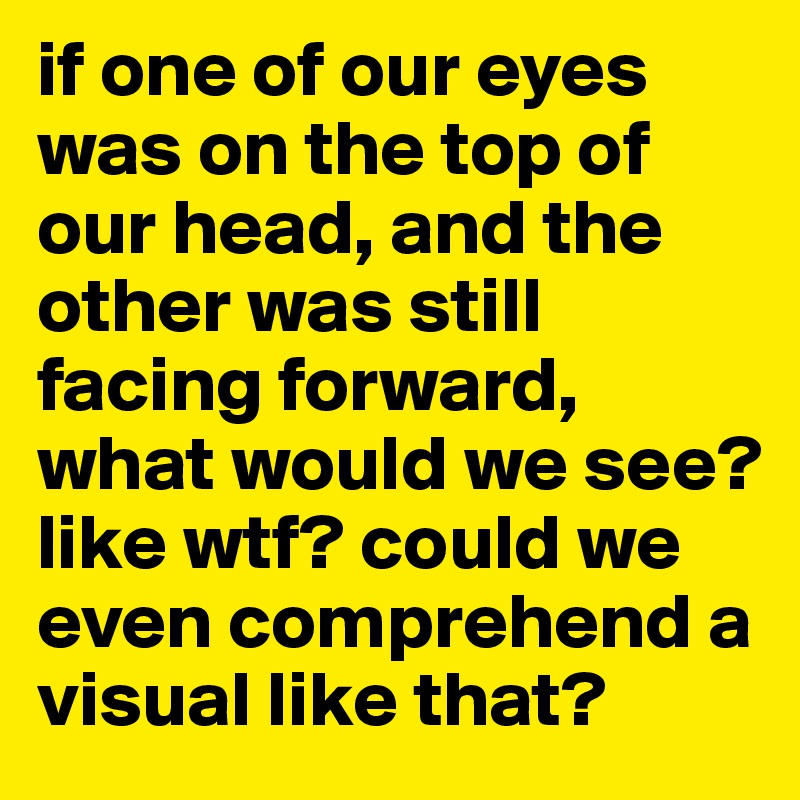if one of our eyes was on the top of our head, and the other was still facing forward, what would we see? like wtf? could we even comprehend a visual like that?
