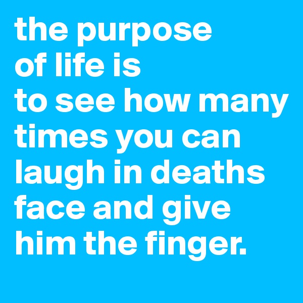 the purpose
of life is
to see how many times you can laugh in deaths face and give him the finger.